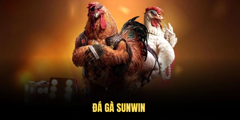 Đá Gà Sunwin – Sân Chơi Đẳng Cấp Cho Người Đam Mê 2025